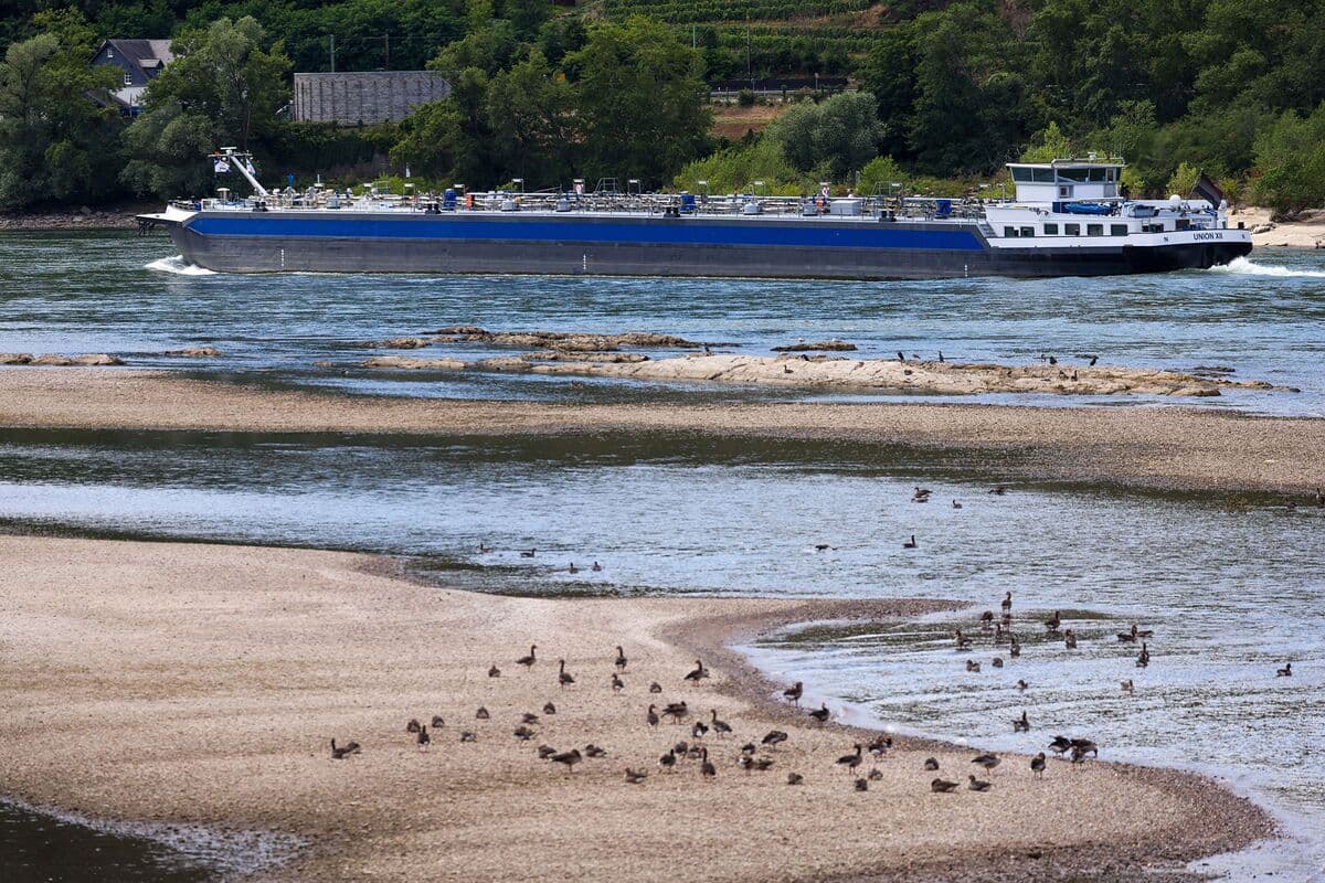 Oil Barges Limited in Fuel Capacity Due to Declining Rhine Water Levels