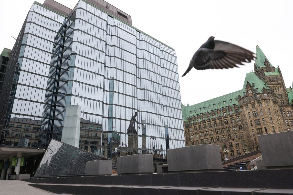 Bank of Canada Highlights AI's Potential to Enhance Productivity