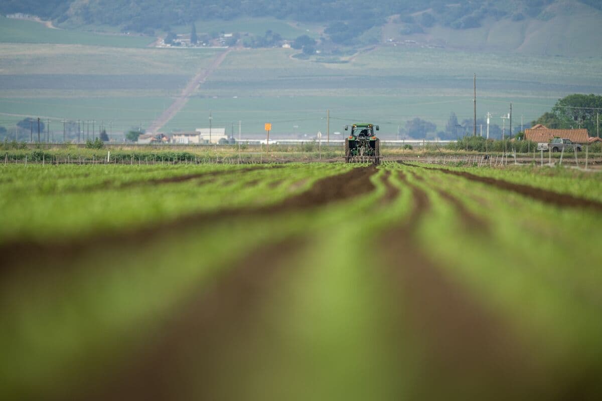 G7 Ministers Consider Coordinated Action on Fertilizer Amid Supply Disruptions