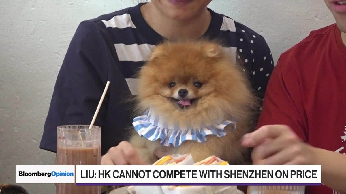 Hong Kong Introduces Pet-Friendly Dining to Boost Restaurant Industry