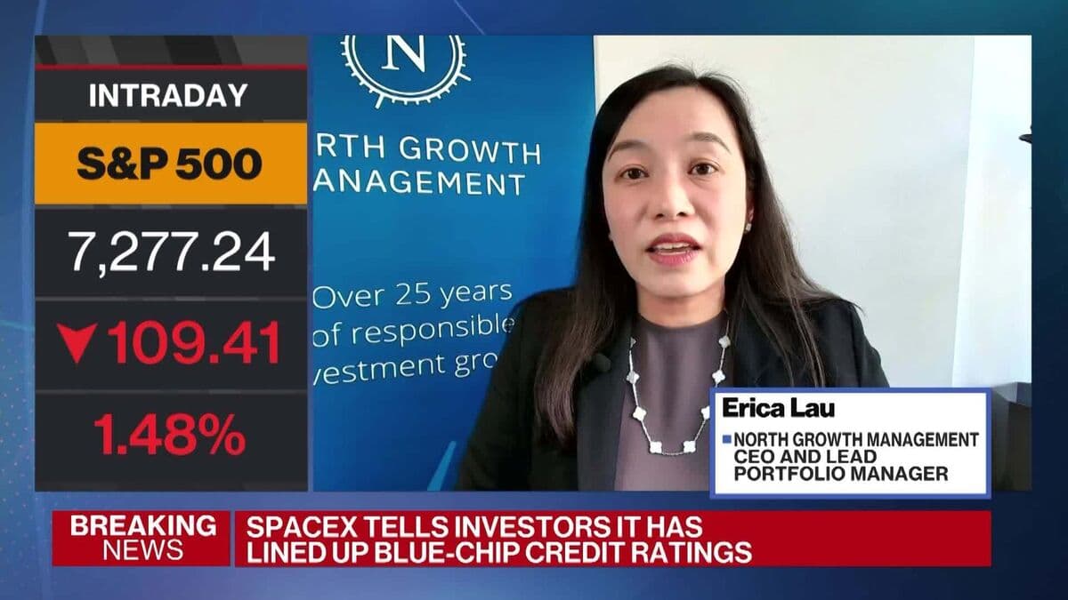 North Growth Management CEO Reports 29% Earnings Growth Driven by AI Investments