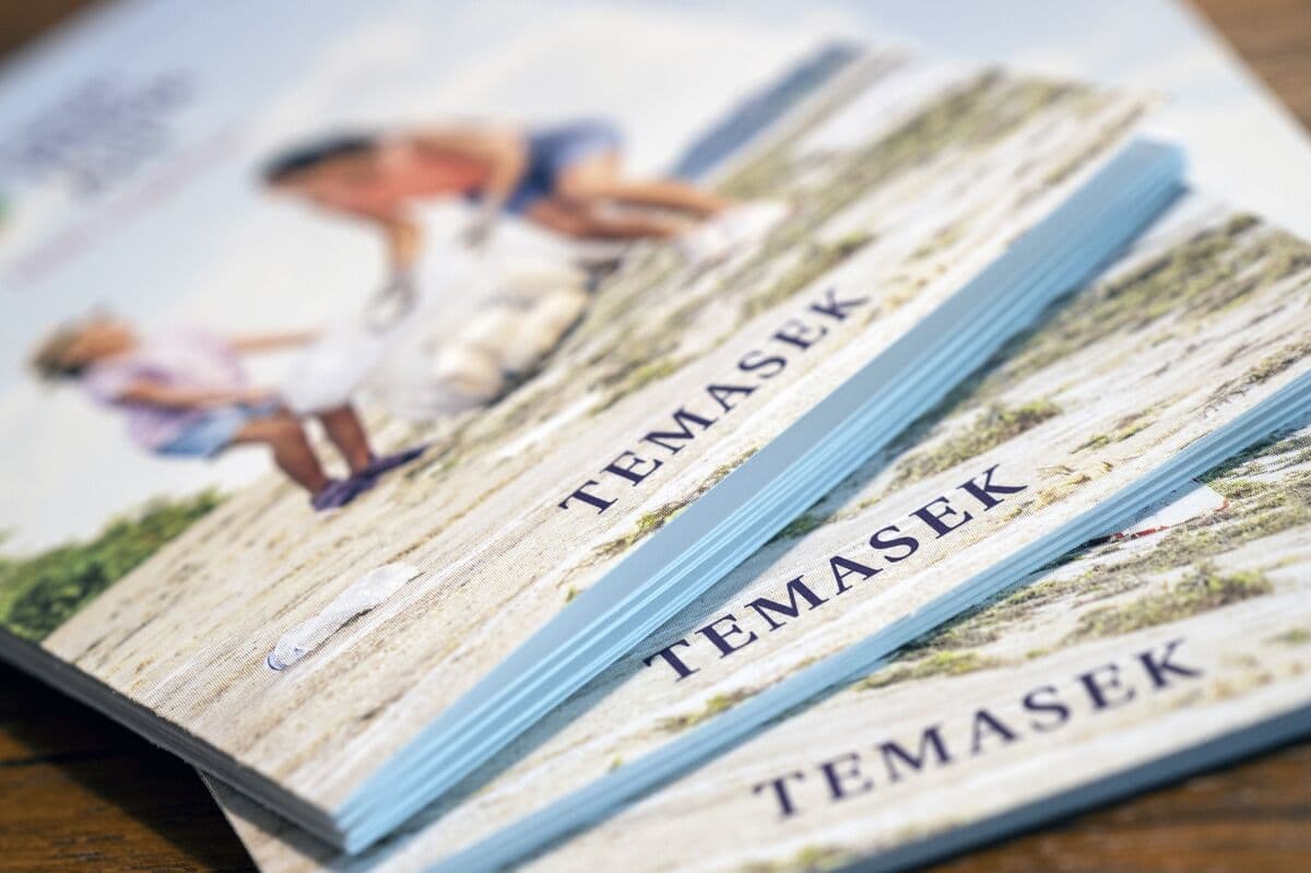 Temasek and Oman Wealth Fund Invest in Vinpearl's $255 Million Credit Deal