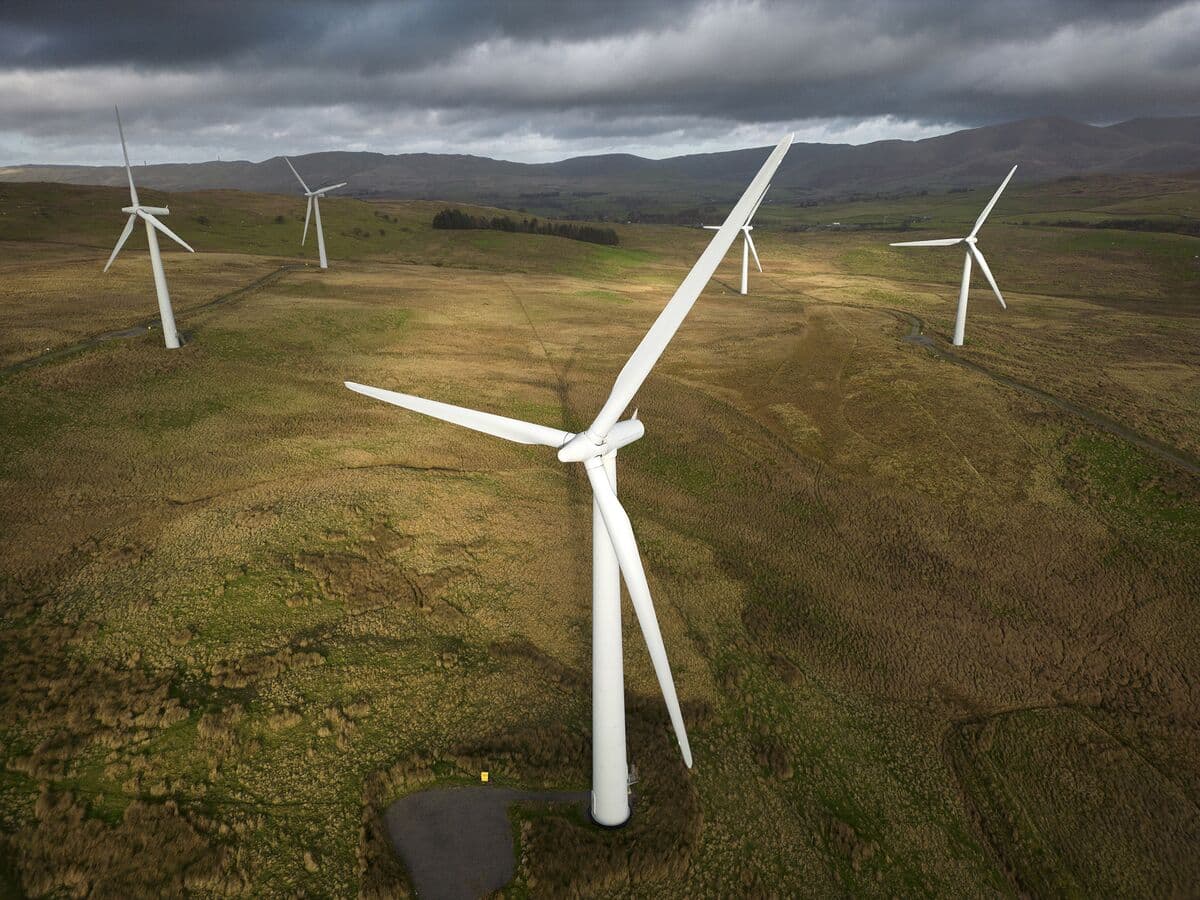 UK Climate Watchdog Calls for Elimination of Green Levies on Energy Bills