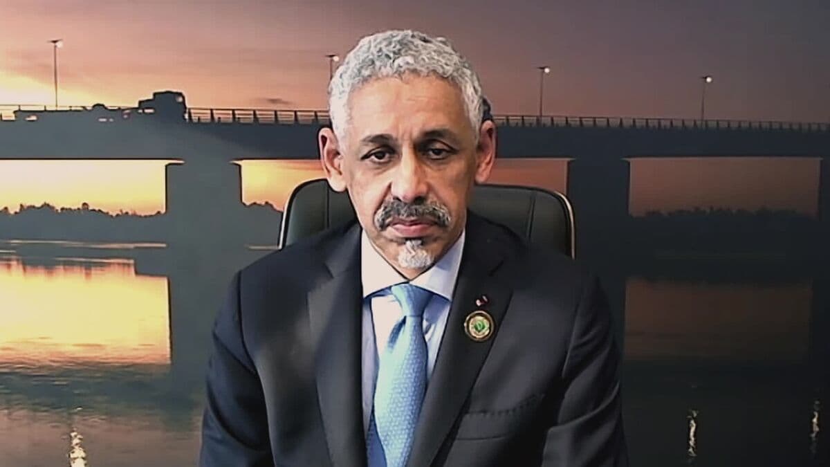 African Development Bank President Discusses Ebola and Fiscal Support
