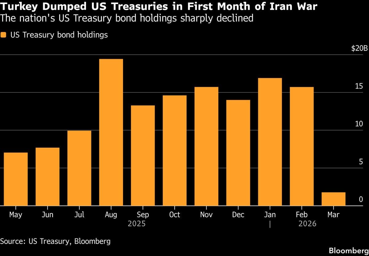 Turkey Sells Nearly All US Treasury Holdings in March Amid Currency Support Efforts
