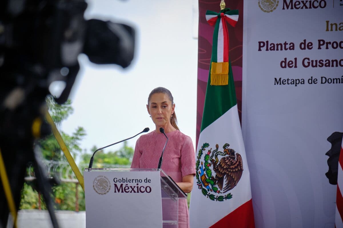 Mexico Calls for US Investigation into Migrant Deaths Associated with ICE