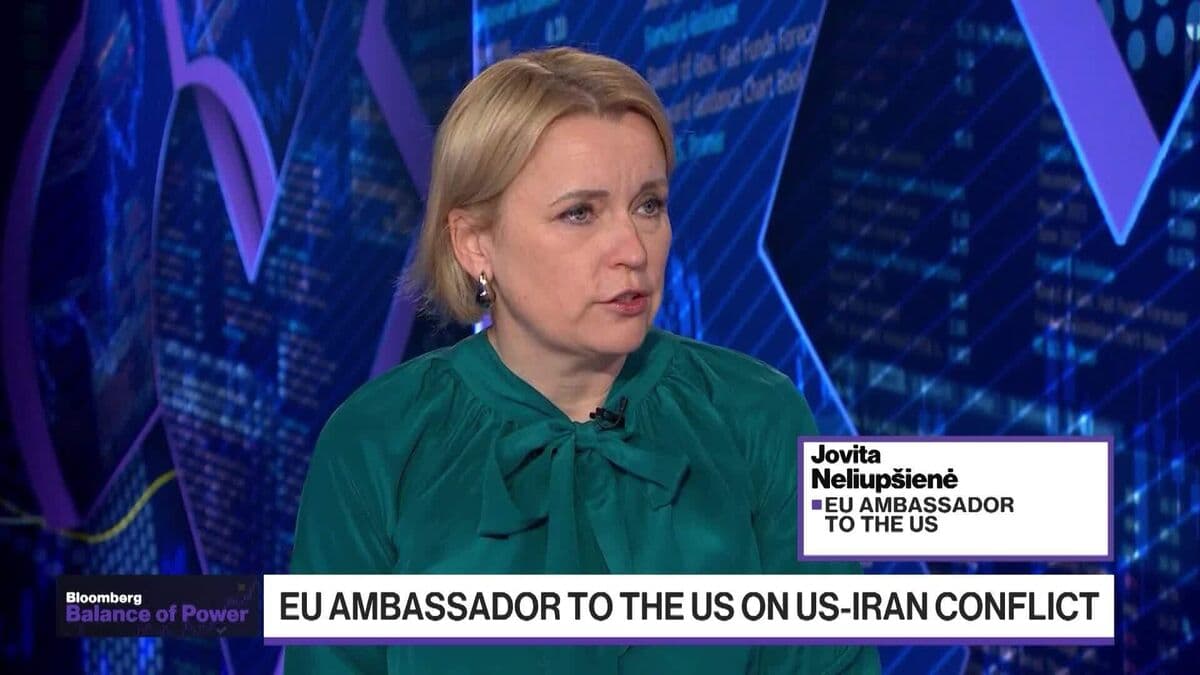 EU Ambassador Affirms Importance of Keeping Strait of Hormuz Open