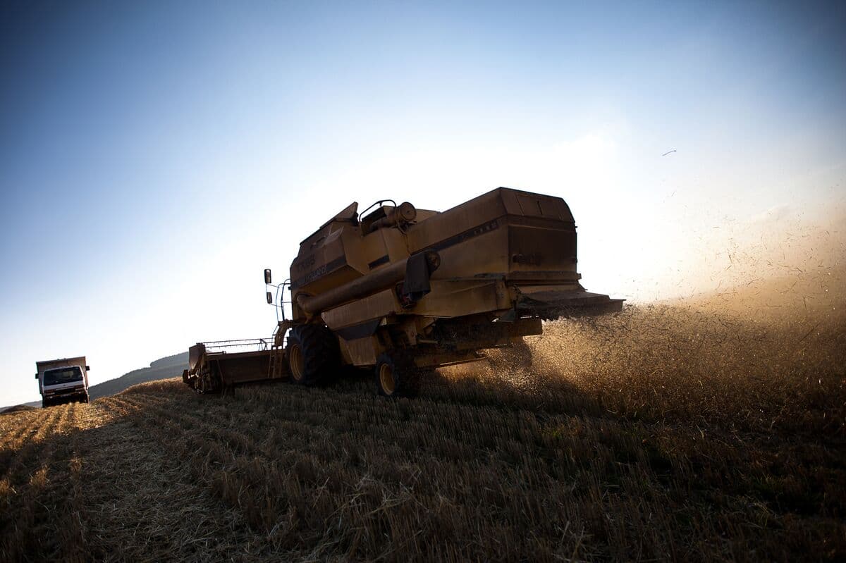 Kenya to Issue $772 Million in Green Bonds to Enhance Agriculture