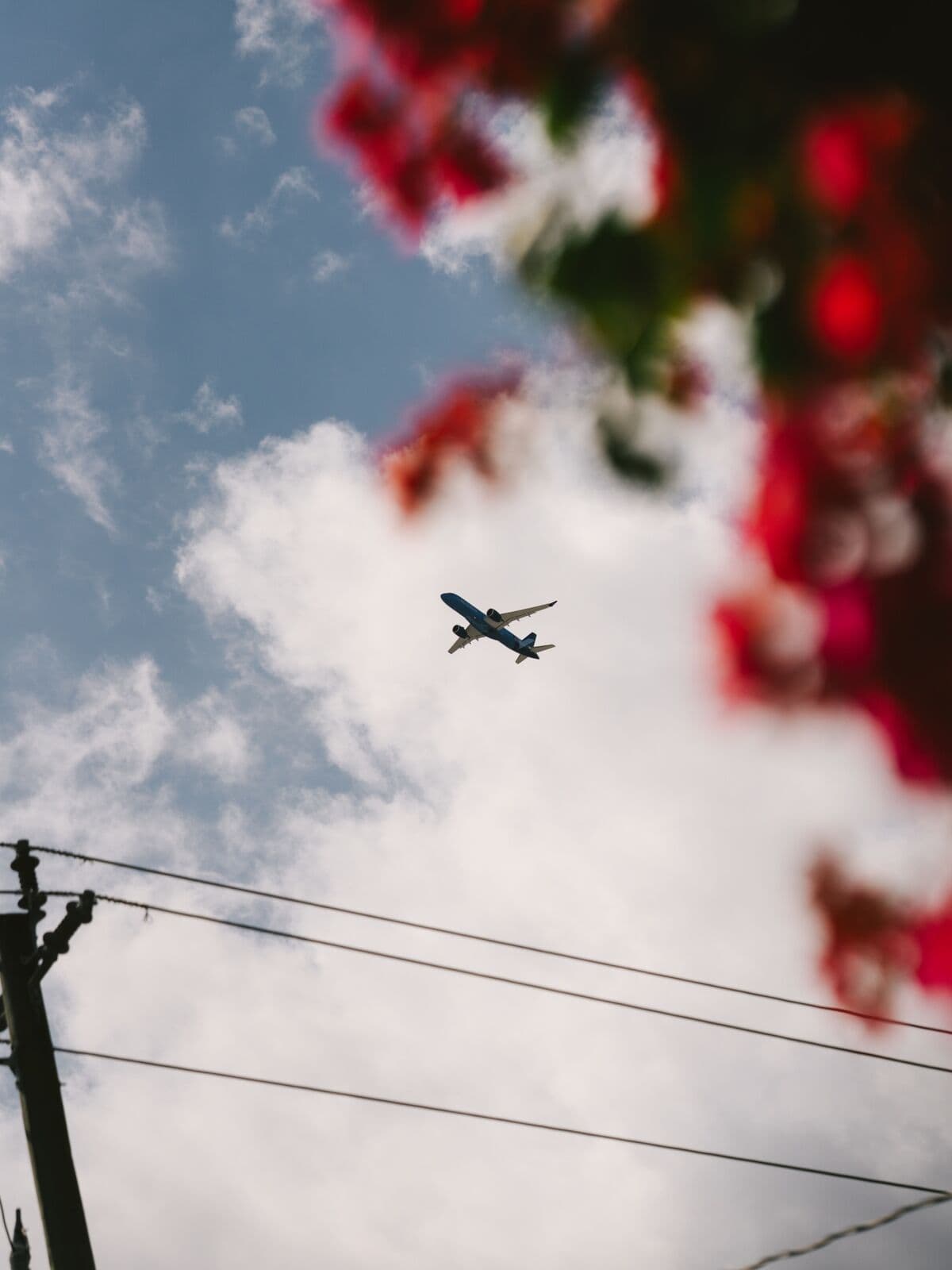 Rich Palm Beach Residents Seethe as Trump Diverts Flights Over Their Homes