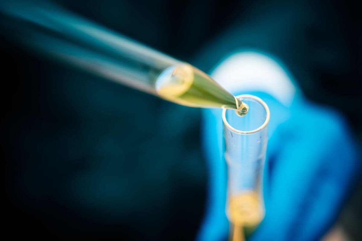 Aragen Life Sciences Plans Up to $300 Million IPO in India