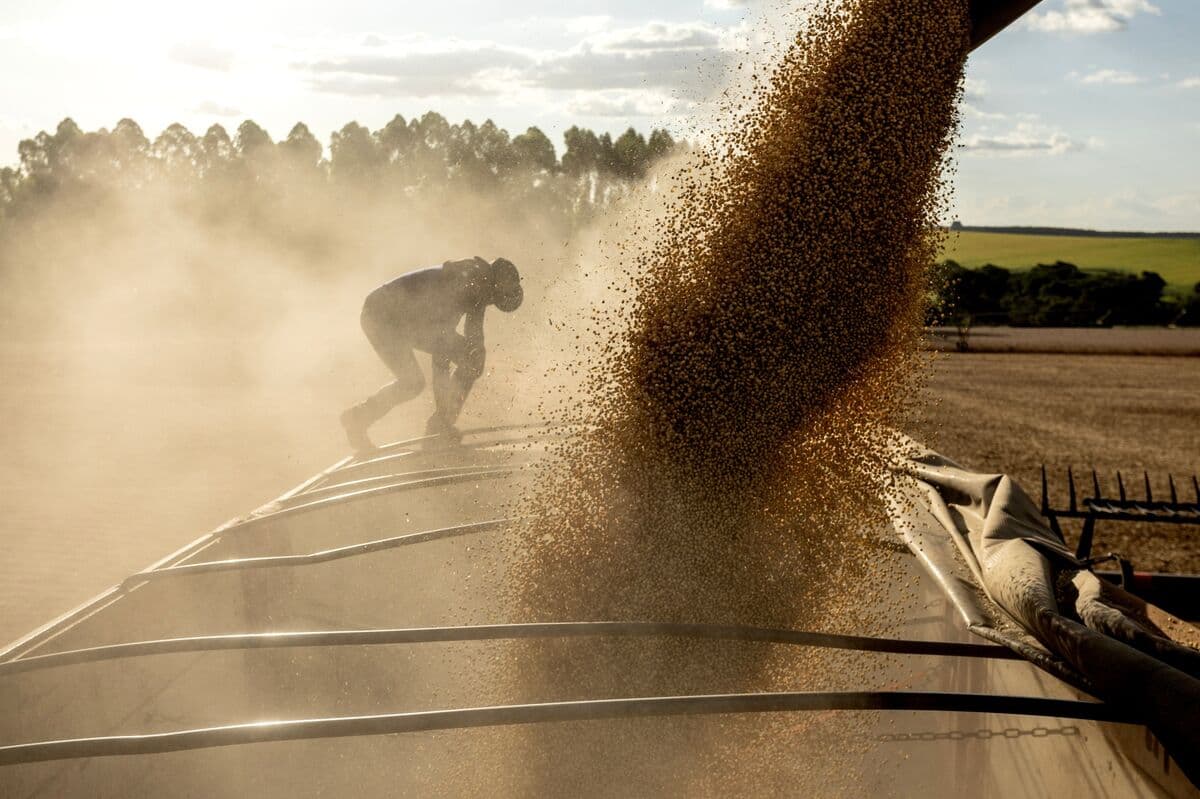 El Niño and Iran Conflict Contribute to Rising Food Prices