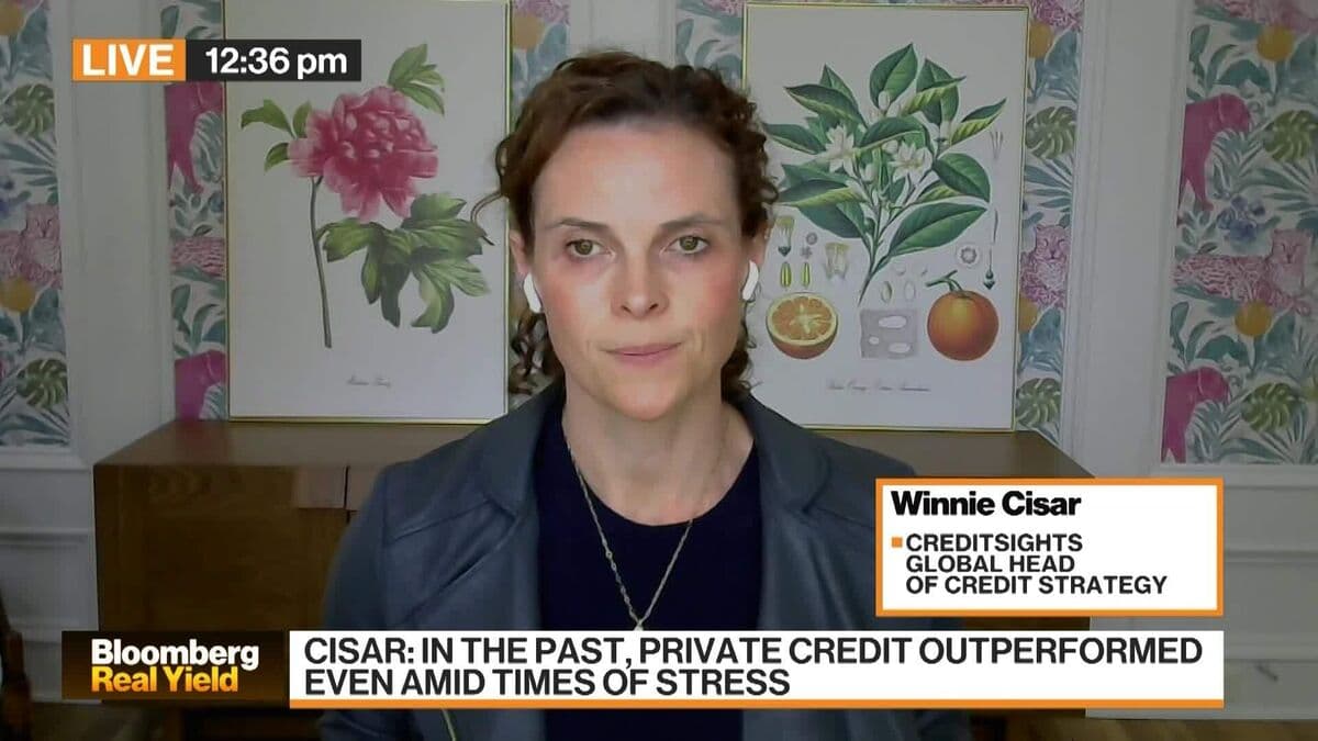 Private Credit Outperformed During Past Stress: CreditSights' Cisar