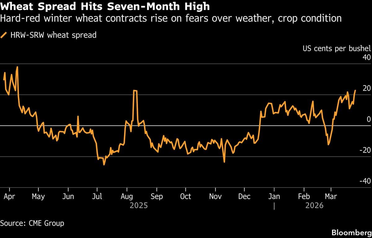 Wheat Spread Hits Seven-Month High as US Plains Crop Fears Grow