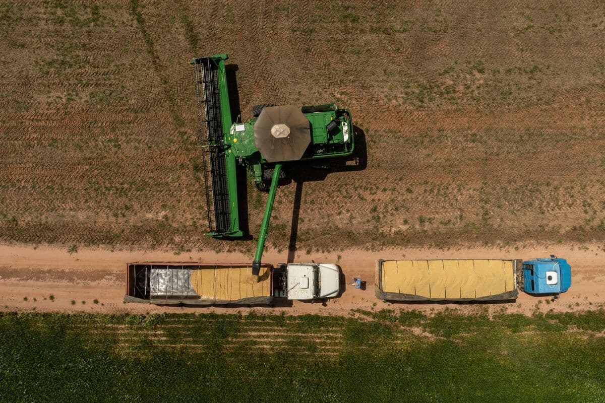 Rising Diesel Prices Are Wreaking Havoc in Soybean Giant Brazil