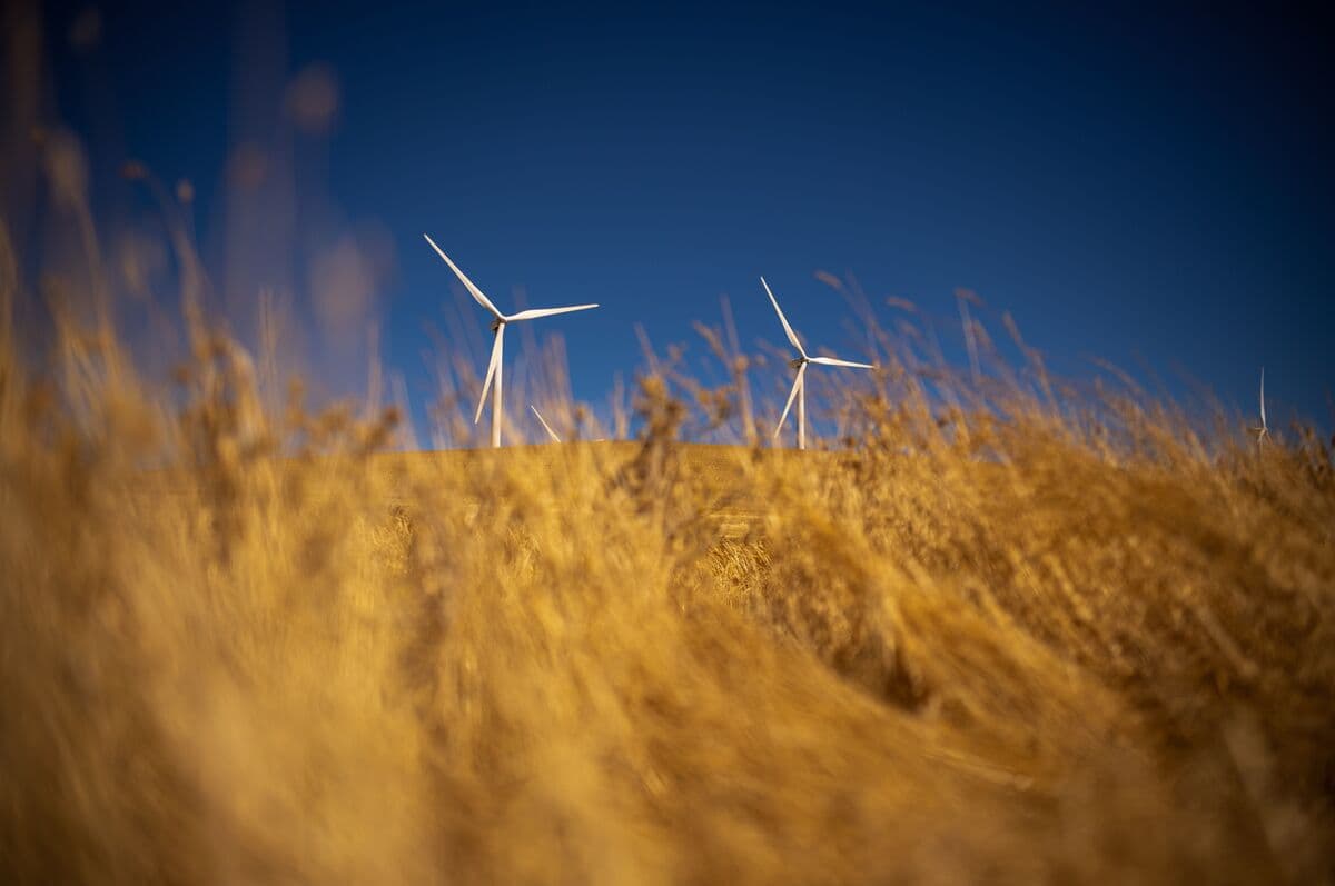 Conflict in Iran Increases Interest in Renewable Energy, Says Lender