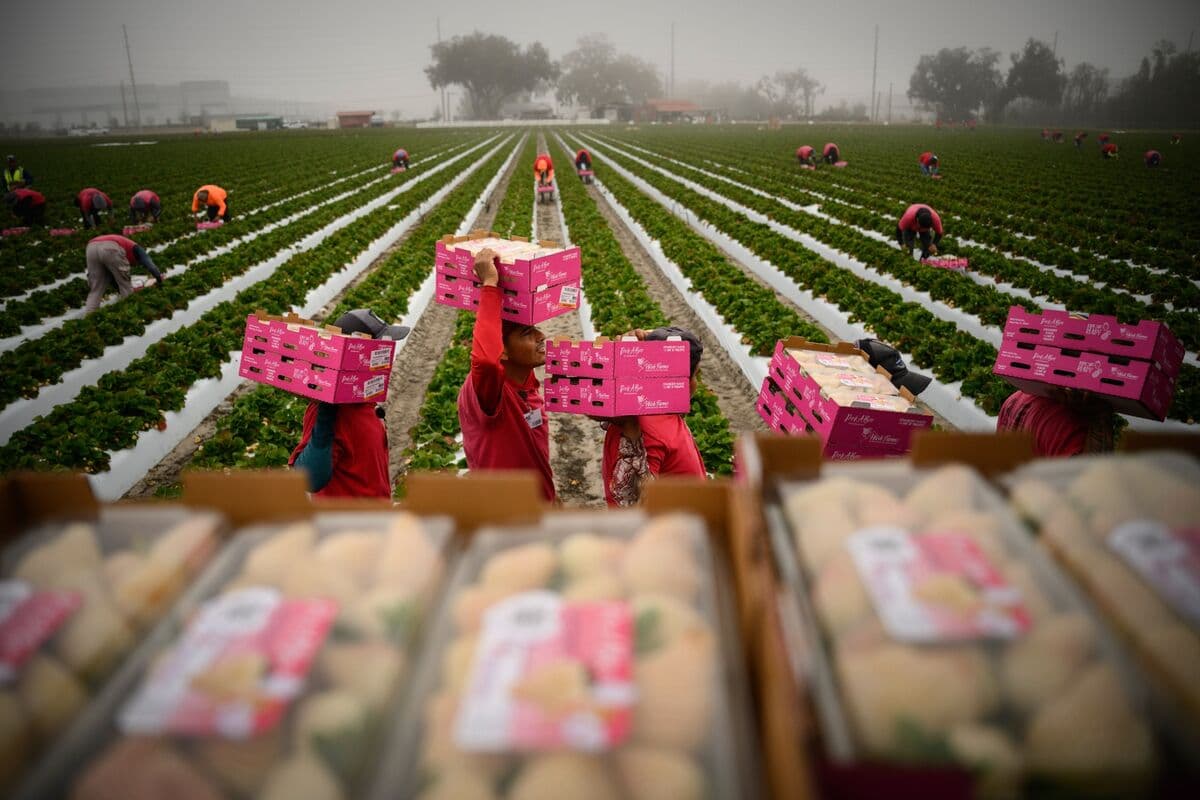 Inflation Set to Increase Grocery Prices for Americans