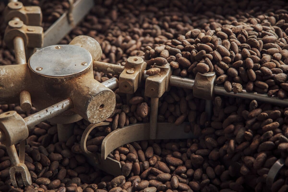 Cocoa Demand Recovery Remains Fragile Amid Rising Price Volatility