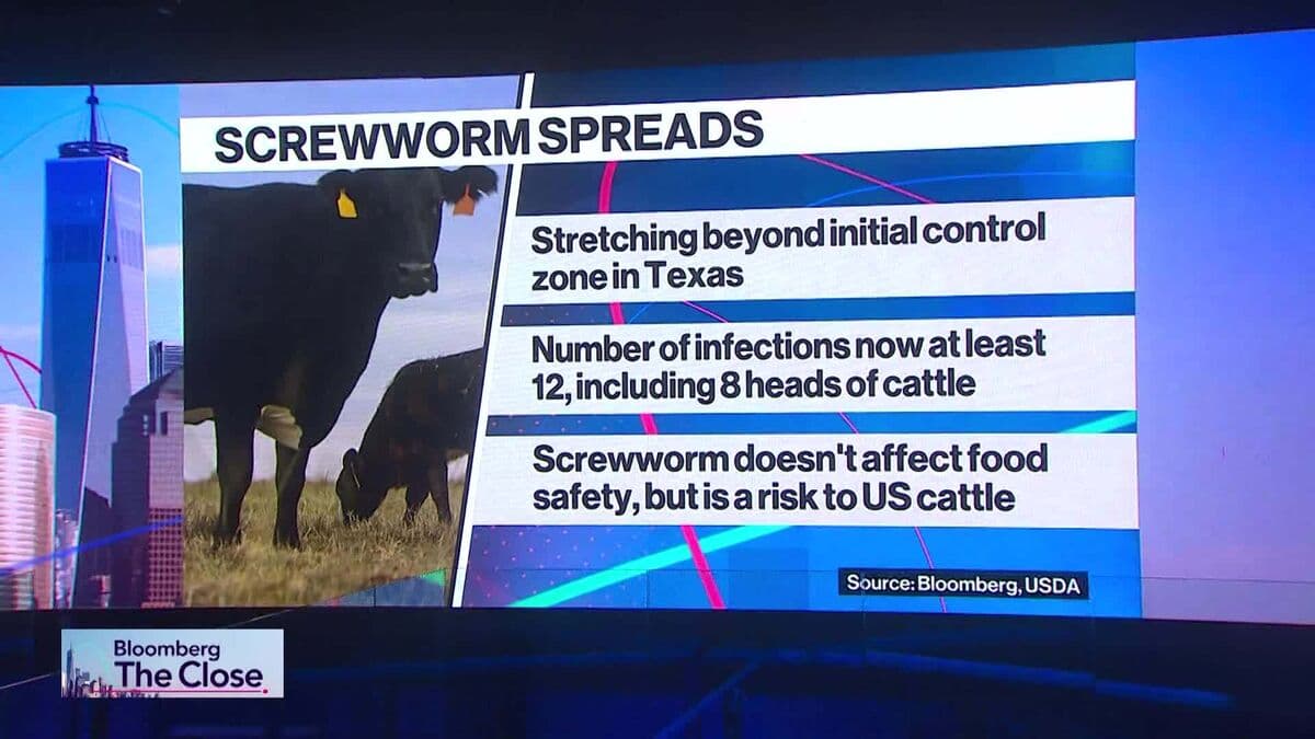 Elanco CEO Discusses Management of Screwworm Threat in Texas