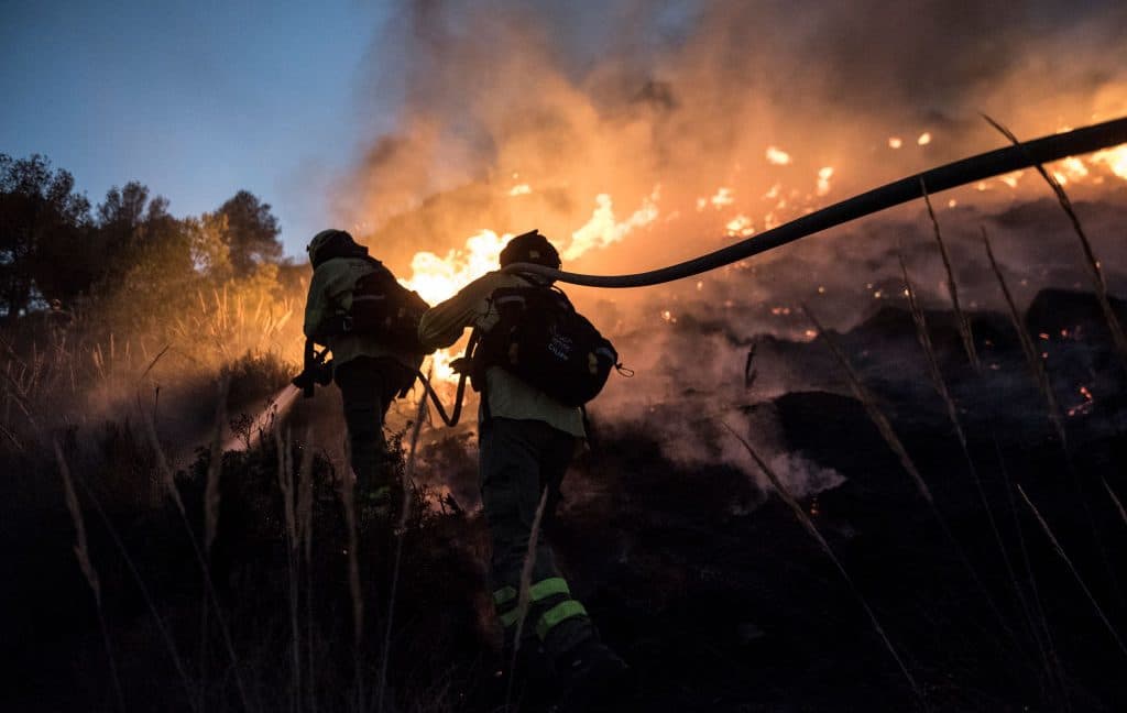 El Niño Expected to Bring Wildfires, Floods, and Severe Heatwaves