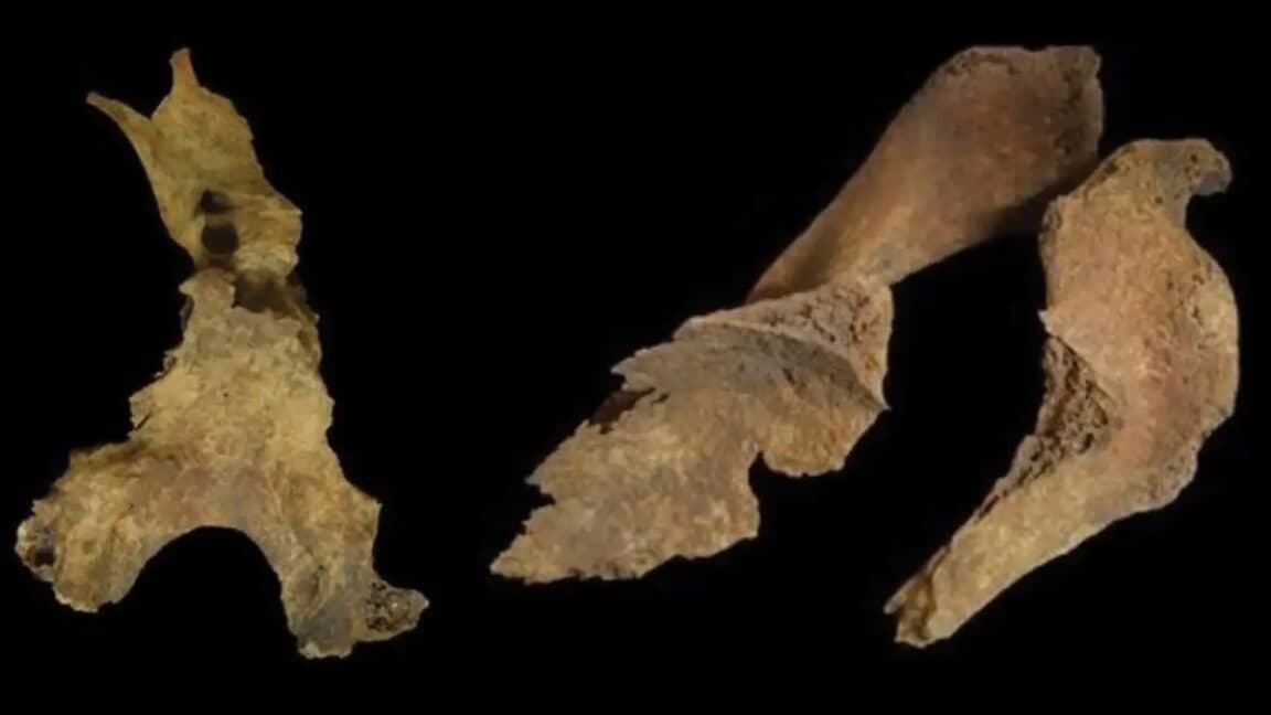 Archaeologists Discover Evidence of Brain Removal in Iron Age Britons