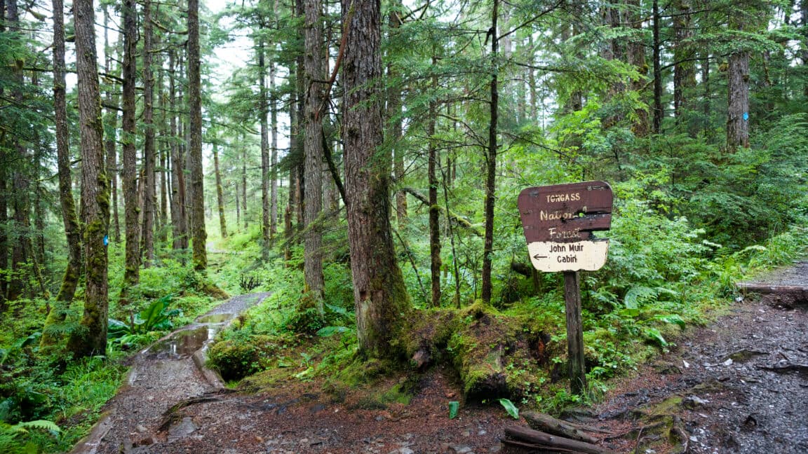 Proposed Rollback of Roadless Rule Could Impact Wildlife and Water Resources