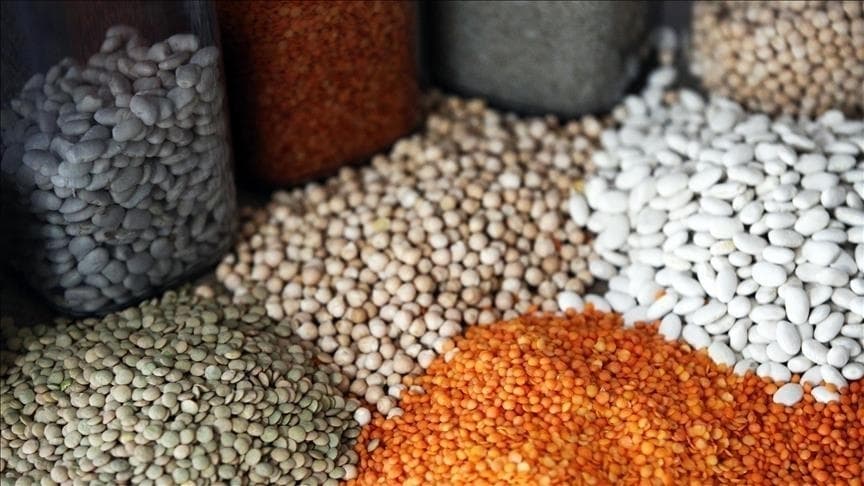 Güneydoğu Anadolu'dan yılın ilk 2 ayında 552,8 milyon dolarlık hububat ihracatı yapıldı