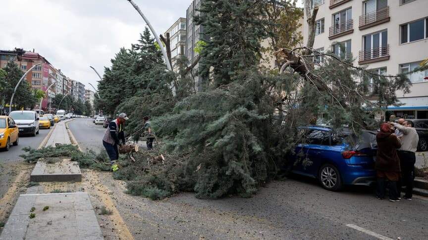 Ankara'da şiddetli rüzgar ağaçları devirdi, 2 araç zarar gördü