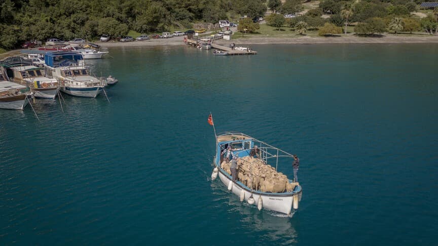 Çobanlar, karadan denize uzanan mevsimlik göç yolculuğu yapıyor