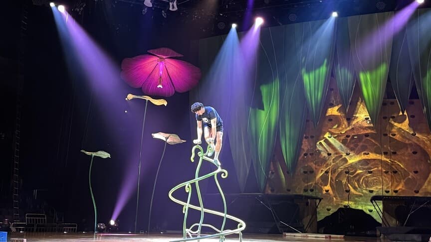 Cirque du Soleil'in 'OVO' gösterisi İstanbul'da sahne alıyor