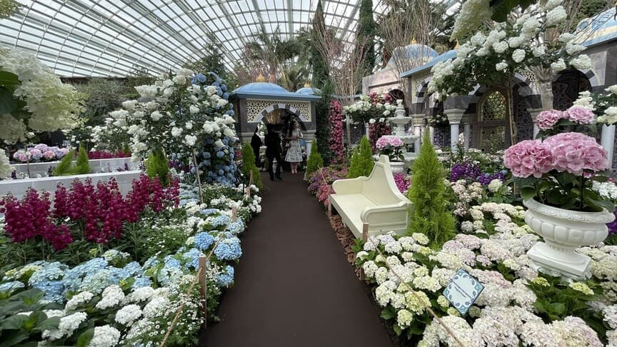 Singapur'da İstanbul temalı 'Blue Beauties' sergisi açıldı