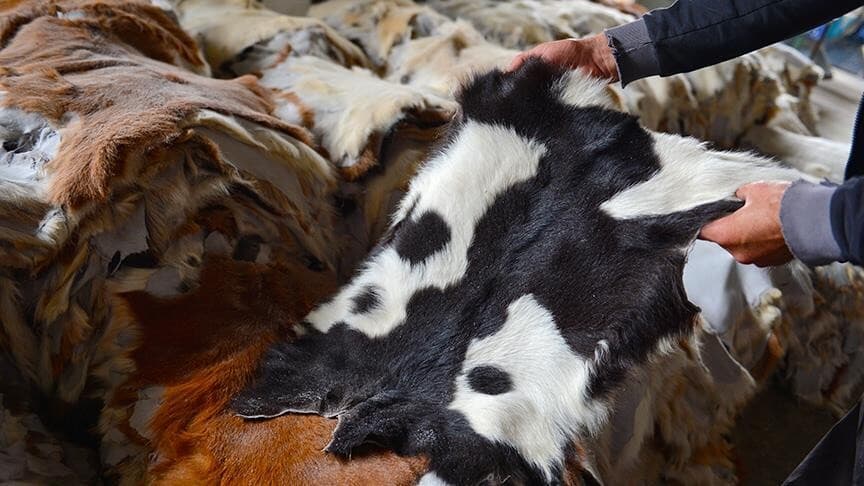 Kurban derileri Türkiye'nin deri sektörüne katkı sağlıyor