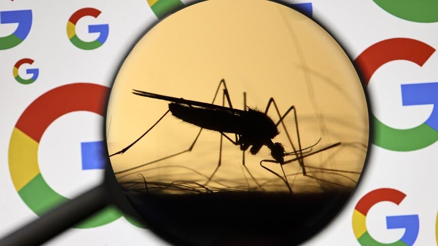 Google, ABD'de hastalıkları önlemek için 32 milyon kısır sivrisinek salacak