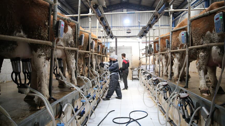 Süt üreticilerine son 6 yılda 24,6 milyar lira destek sağlandı