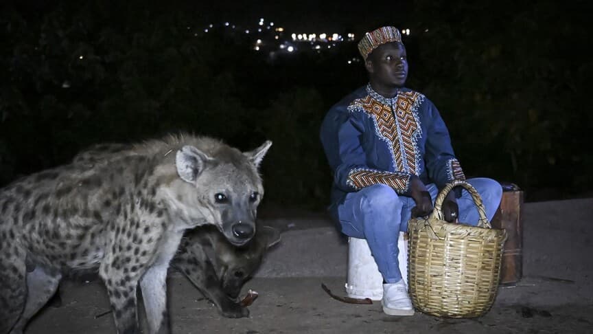 Etiyopya'nın Harar şehrinde sırtlan adamlar geleneği