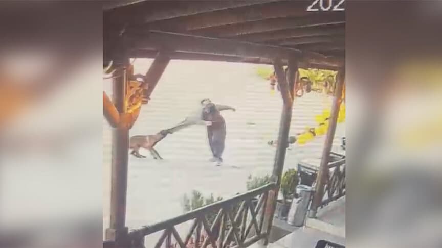 Afyonkarahisar'da köpek saldırısında yaralanan kadın taburcu oldu