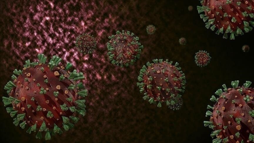 Madagaskar'da M çiçeği vaka sayısı 2000'i geçti