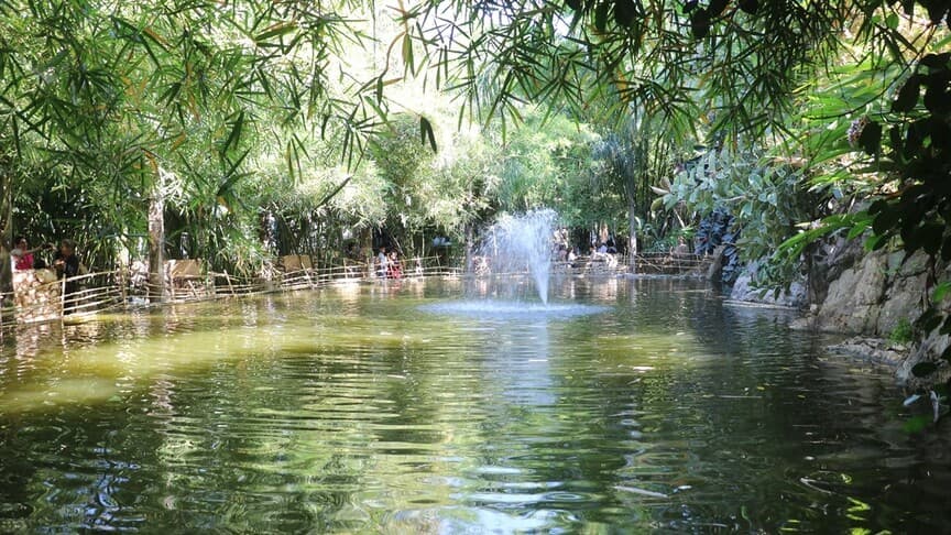 Suriye'de Tropikal Orman Parkı hobiyle başladı