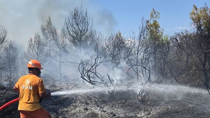 Antalya'da orman yangınına havadan ve karadan müdahale ediliyor