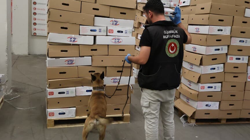 Kapıkule Gümrük Kapısı'nda 1,2 ton uyuşturucu yakalandı
