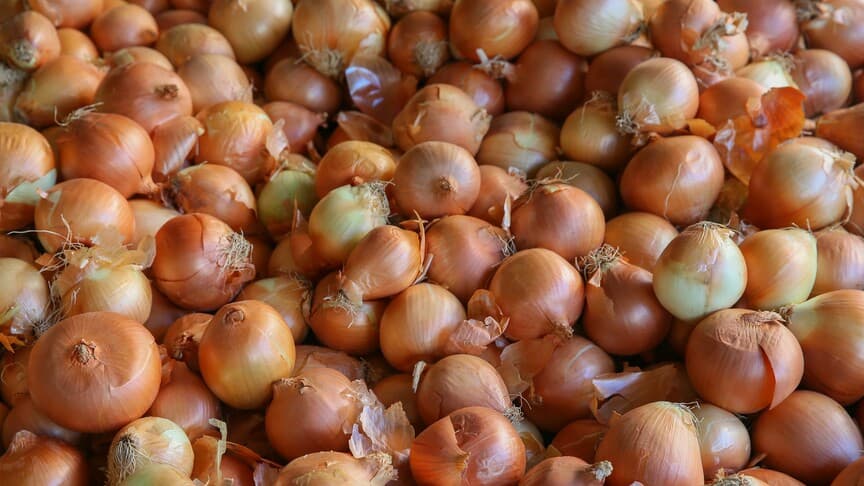 Kuru soğanda gümrük vergisi 31 Ağustos'a kadar yüzde 5 olacak