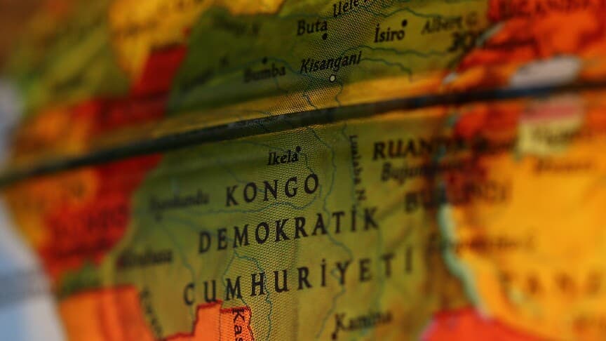 Kongo Demokratik Cumhuriyeti'nde yeni bir maymun türü bulundu