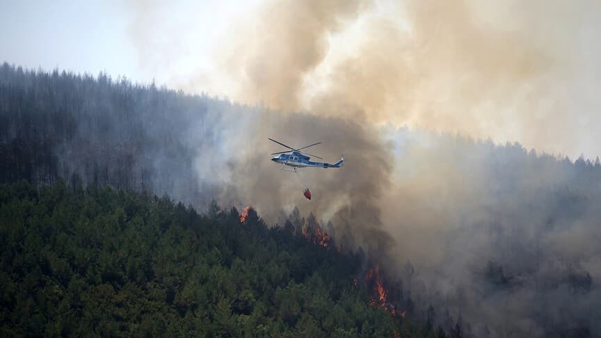İspanya'daki orman yangınlarında 29 bin hektar alan yandı