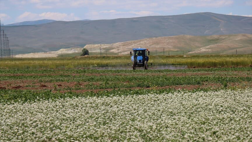 Erzincan'da tarımsal üretim alternatif ürünlerle çeşitleniyor