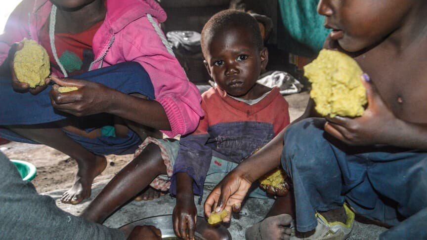 WFP: Kongo Demokratik Cumhuriyeti'nde Ebola salgını gıda krizini artırıyor