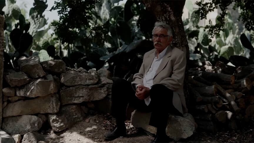 Kesilmiş Bir Ağaç Gibi, Türkiye'nin Oscar adayı oldu