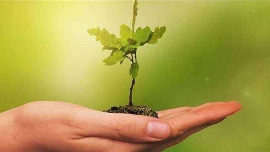 COP31 Gençlik İklim Ideathonu için başvurular açıldı