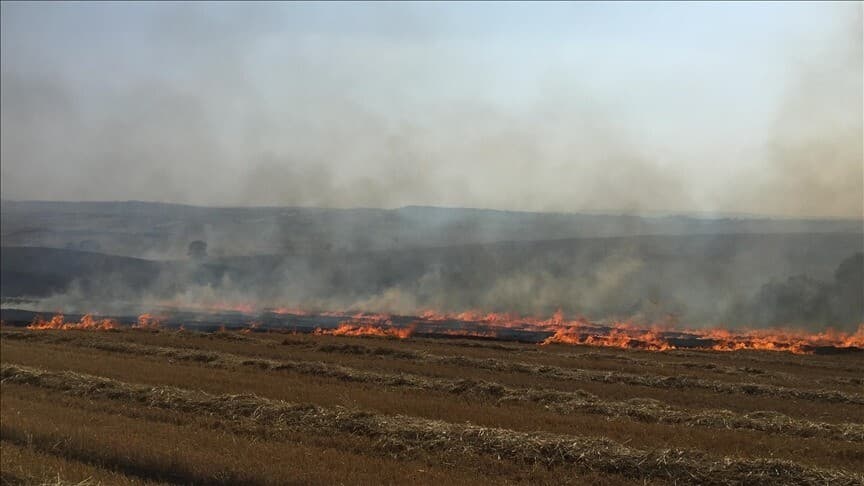 Güneydoğu'da anız yangınlarıyla mücadele etkili oluyor