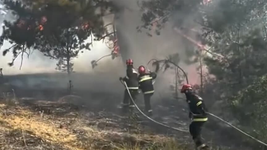 Sırbistan'da 45 orman yangınına müdahale devam ediyor