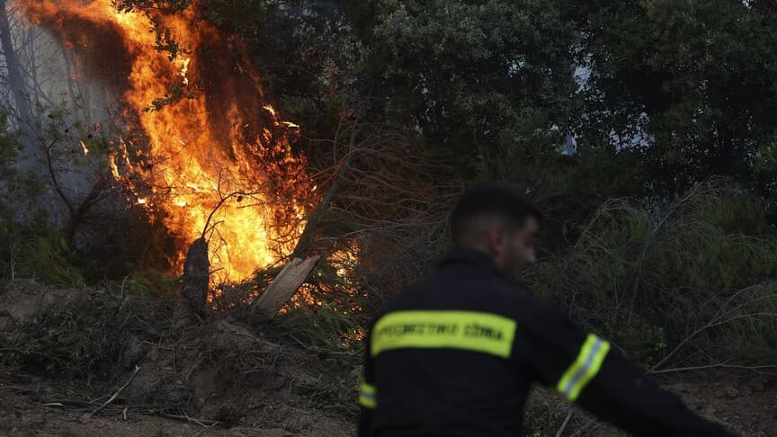 Yunanistan'ın Eğriboz Adası ve Meriç ilinde orman yangınları meydana geldi