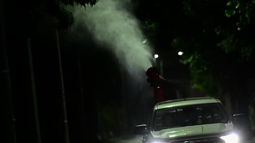 Yunanistan'da Batı Nil virüsü vakalarındaki artışın nedeni iklim değişikliği